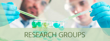 Research Groups