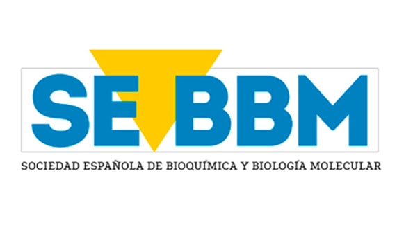 Investigadores del CIBERER participan en el dossier sobre enfermedades raras de la revista 'SEBBM'