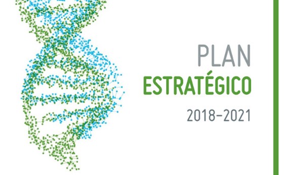 Disponible el Plan Estratégico del CIBERER 2018-2021