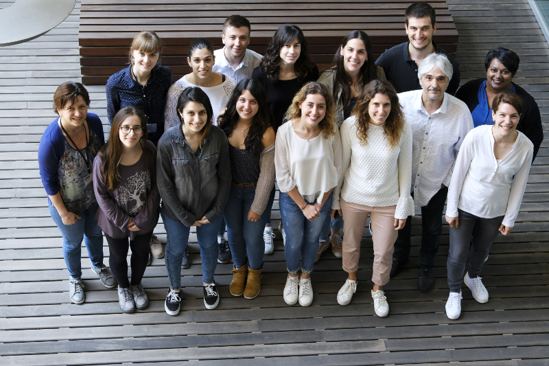 Identifican una pieza clave para frenar un subtipo de cáncer de colon y recto