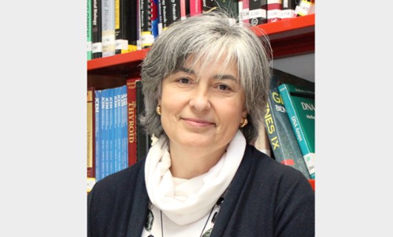 Isabel Varela-Nieto, presidenta electa de la Sociedad Española de Bioquímica y Biología Molecular
