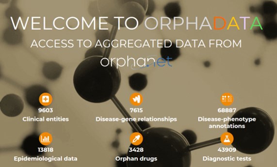 Se renueva la imagen de la plataforma de acceso a datos masivos para la investigación de Orphanet (Orphadata)