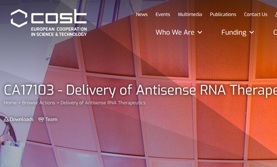 El grupo liderado por Isabel Varela-Nieto se incorpora a una acción COST sobre terapias con RNA antisentido