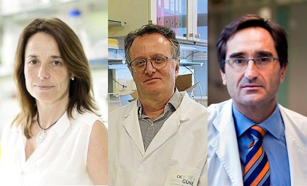 Dos proyectos coordinados por investigadores del CIBER reciben Ayudas a Equipos de Investigación Científica de la Fundación BBVA