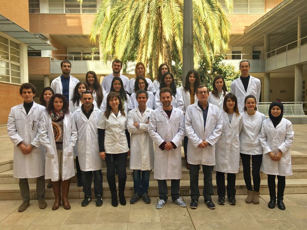 Un grupo de moléculas predice la resistencia a la insulina y la incidencia de diabetes tipo 2