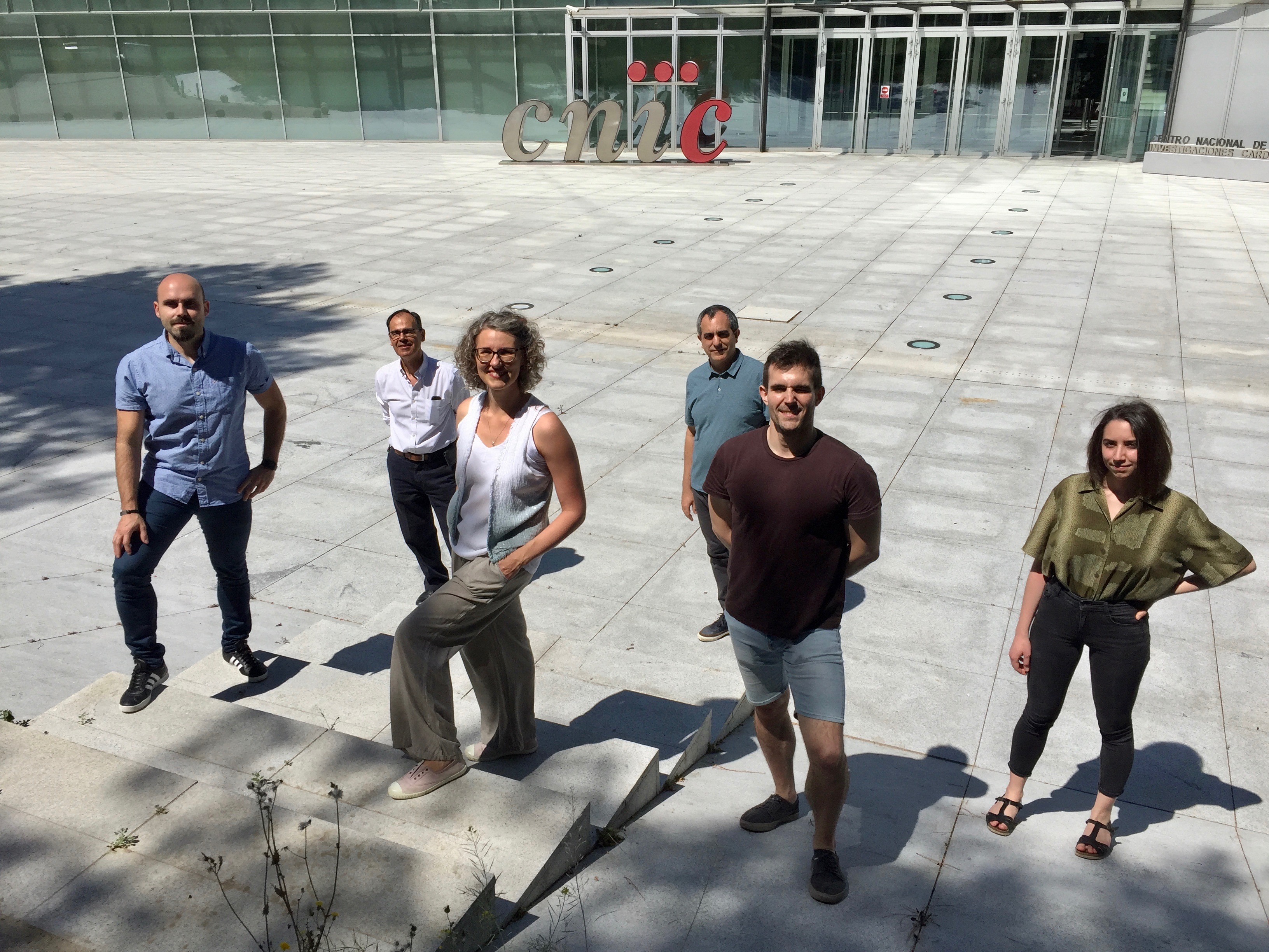 Explican cómo la mitocondria regula la producción de energía