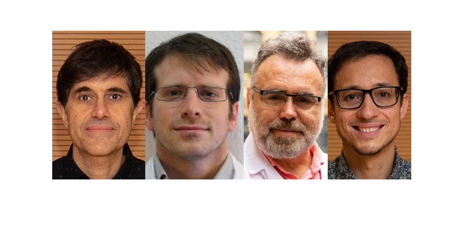 Identifican conductas simples que pueden proteger de ansiedad y depresión durante confinamiento por COVID-19