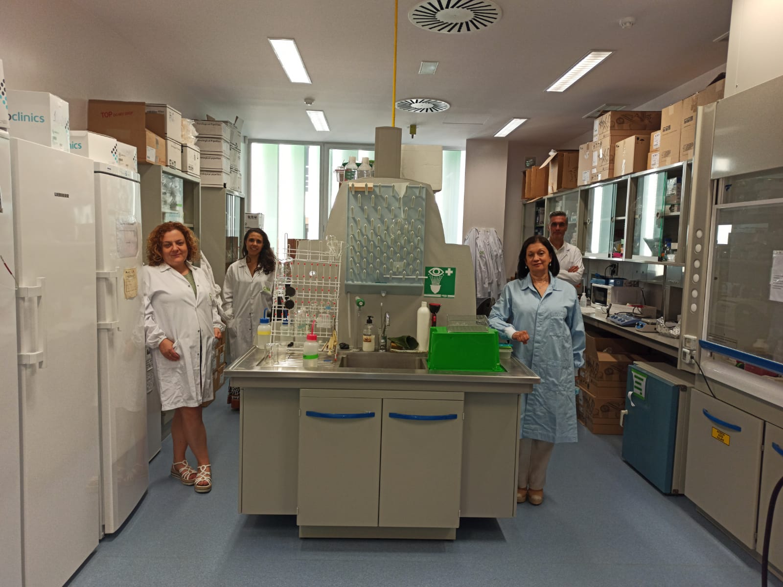 Desarrollan apósitos liberadores de biocidas de origen natural para tratar heridas tópicas y evitar resistencias a antibióticos