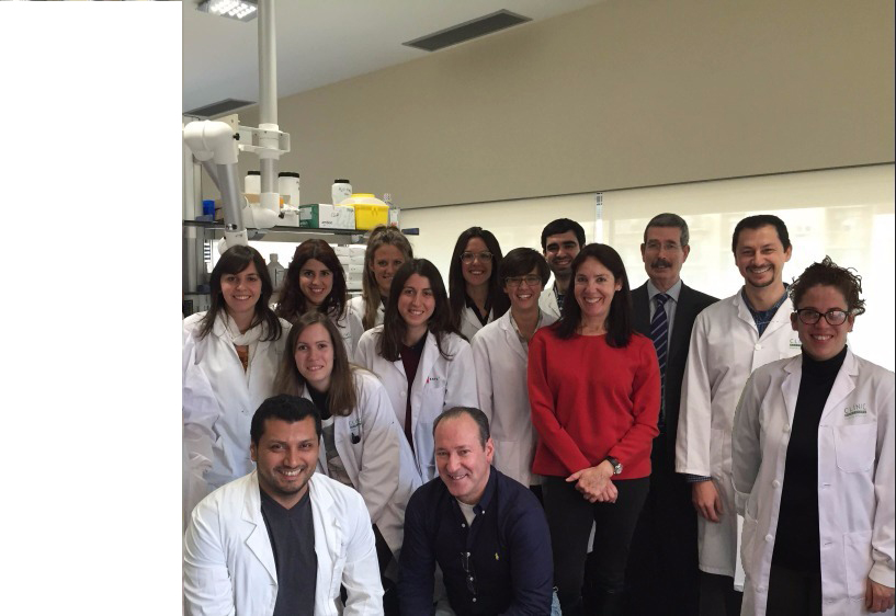 Descubren un nuevo papel de la esfingomielina sintasa 1 en esteatohepatitis no alcohólica