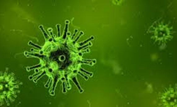 Los pacientes con enfermedad inflamatoria intestinal no constituyen una población de riesgo para adquirir la infección por SARS-CoV-2