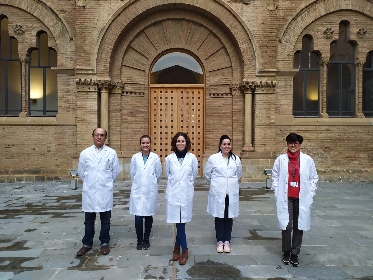 Confirman el papel clave del receptor NOR-1 en la progresión del aneurisma aórtico abdominal