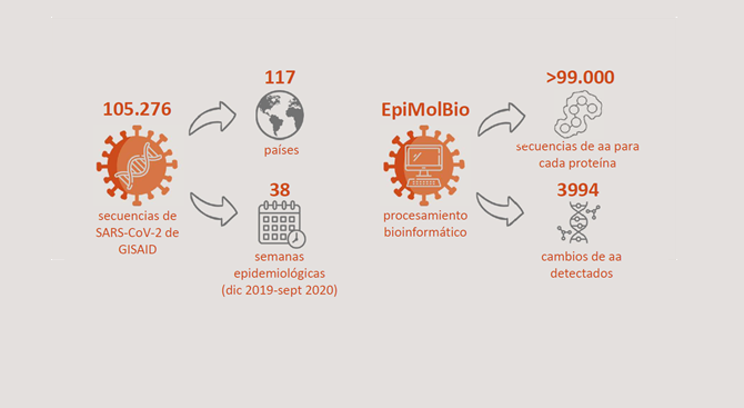 Realizan el primer estudio de conservación y mutaciones emergentes de las 4 proteínas estructurales del SARS-CoV-2 con datos de más de 100.000 pacientes