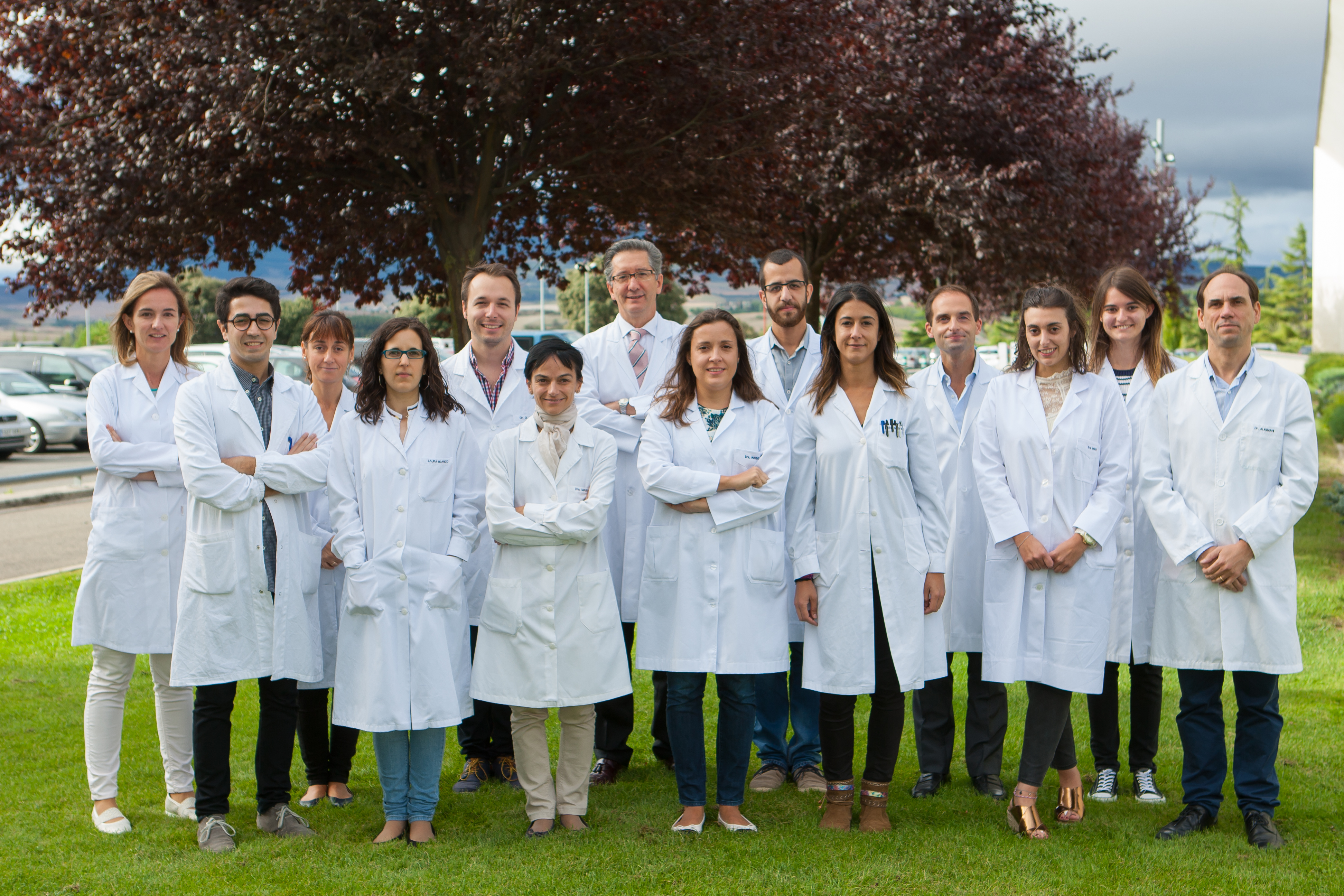 Descubren los mecanismos de resistencia al tratamiento en pacientes con mieloma múltiple de alto riesgo