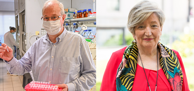 Desarrollan un nuevo biosensor que ayuda al diagnóstico precoz de cáncer de mama