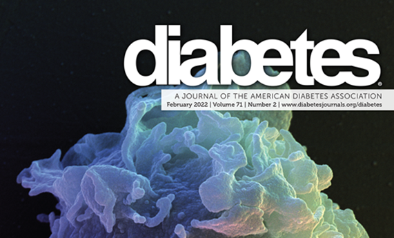 La liraglutida mejora la función pulmonar en personas con diabetes tipo 2