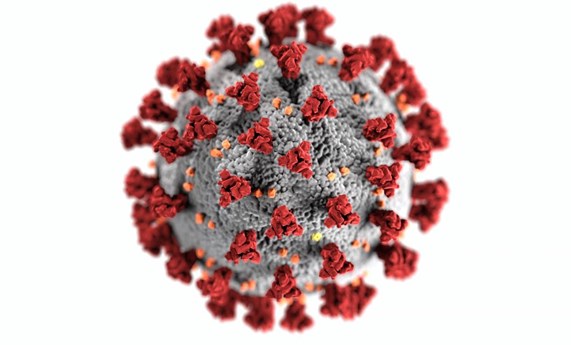 Los pacientes con enfermedades vasculares hepáticas tienen más riesgo de infectarse y sufrir complicaciones por SARS-CoV-2