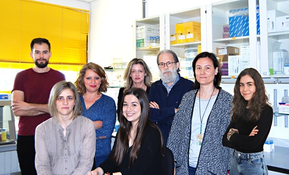 La combinación de Akkermansia muciniphila y quercetina mejora la obesidad temprana y la NAFLD La combinación de Akkermansia muciniphila y quercetina mejora la obesidad temprana y la NAFLD