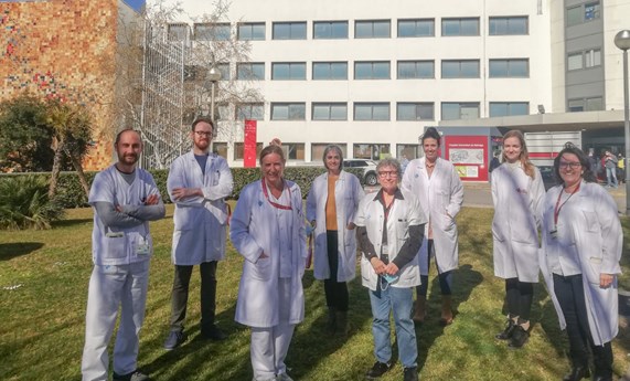 Descubren nuevas claves sobre la persistencia de S. aureus en el entorno hospitalario Descubren nuevas claves sobre la persistencia de S. aureus en el entorno hospitalario