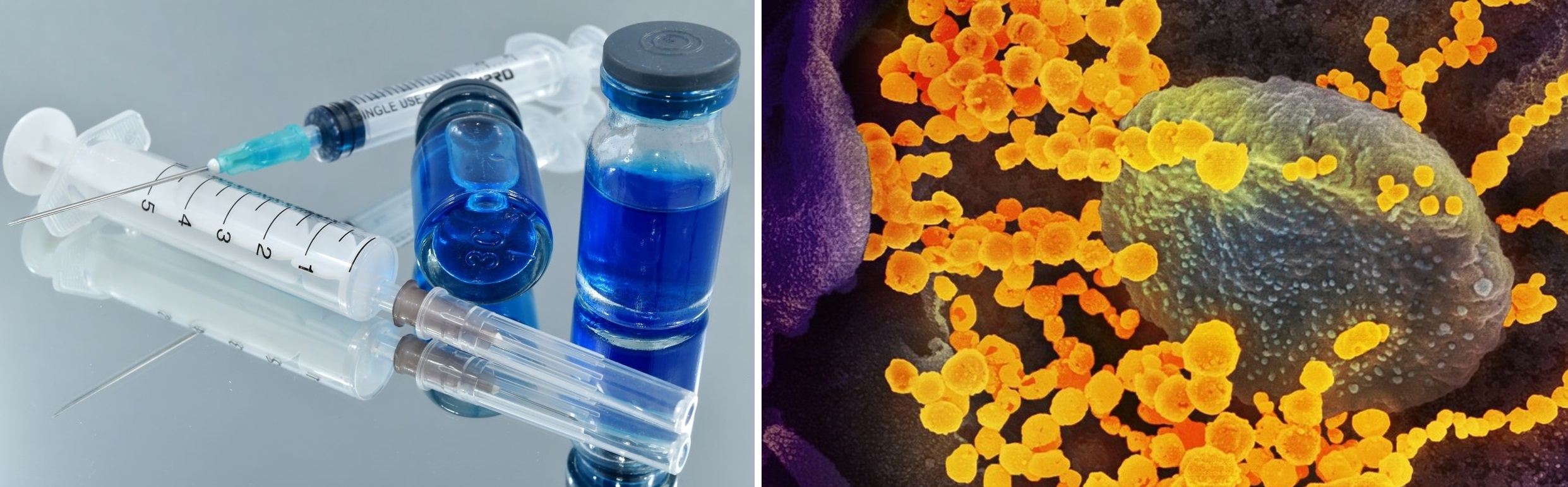 Las dosis de recuerdo de la vacuna contra la COVID-19 redujeron un 51% el riesgo de infección en España durante la ola de Ómicron