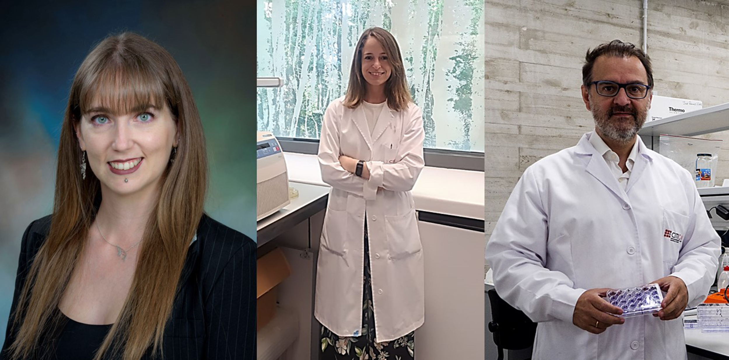 Describen los mecanismos genéticos por los que la bacteria A. pittii es resistente a distintos antibióticos