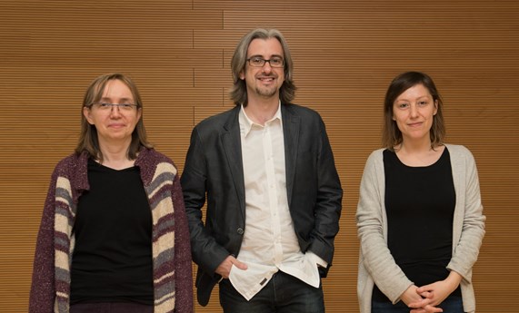 Un estudio en modelos animales muestra que el ejercicio de alta intensidad favorece las lesiones vasculares a largo plazo Un estudio en modelos animales muestra que el ejercicio de alta intensidad favorece las lesiones vasculares a largo plazo