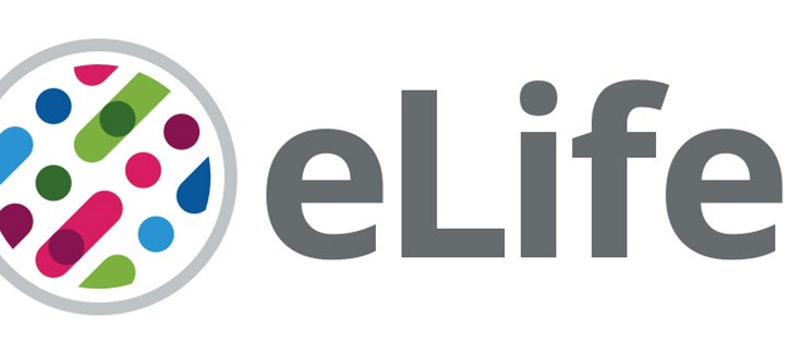 Un nuevo tratamiento podría mejorar síntomas clave en el síndrome de ...