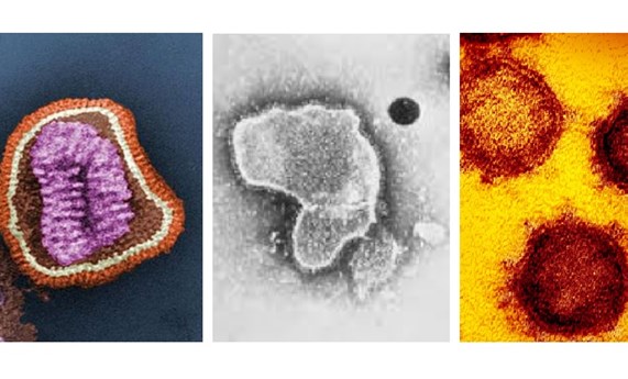 La vigilancia integral de gripe, VRS y COVID-19 revela el comportamiento de las infecciones respiratorias agudas en la temporada 2021-2022