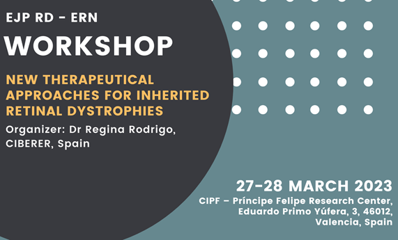 El CIPF de Valencia acogerá un taller europeo sobre nuevas aproximaciones terapéuticas para las distrofias hereditarias de retina
