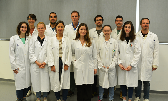 Estudian la huella molecular diferencial en cerebros de personas centenarias Estudian la huella molecular diferencial en cerebros de personas centenarias