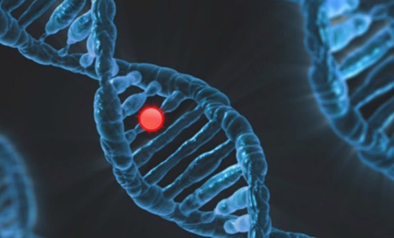 Un ensayo clínico de terapia génica para la inmunodeficiencia LAD-I basada en desarrollos españoles muestra resultados positivos Un ensayo clínico de terapia génica para la inmunodeficiencia LAD-I basada en desarrollos españoles muestra resultados positivos