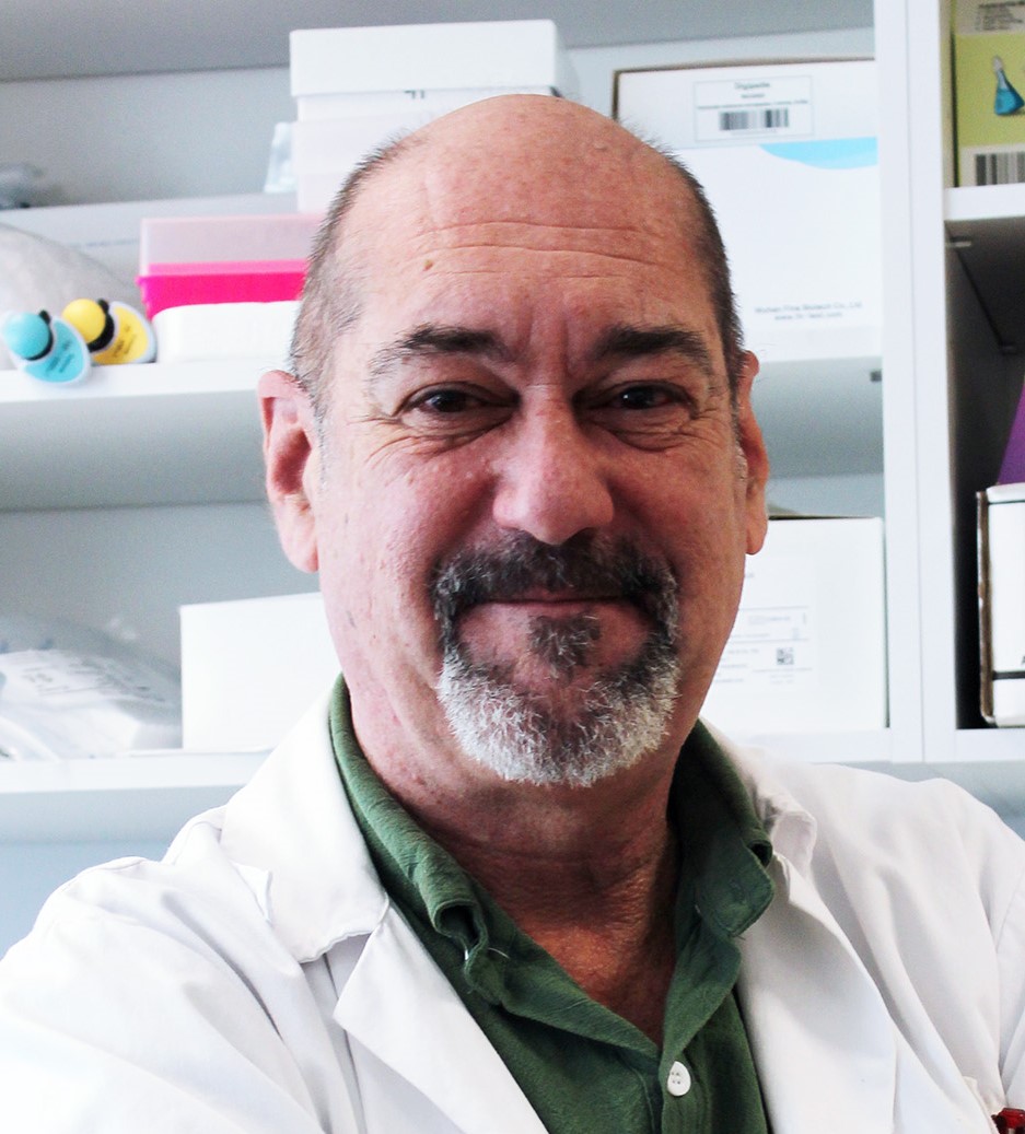 Welcome from the Director