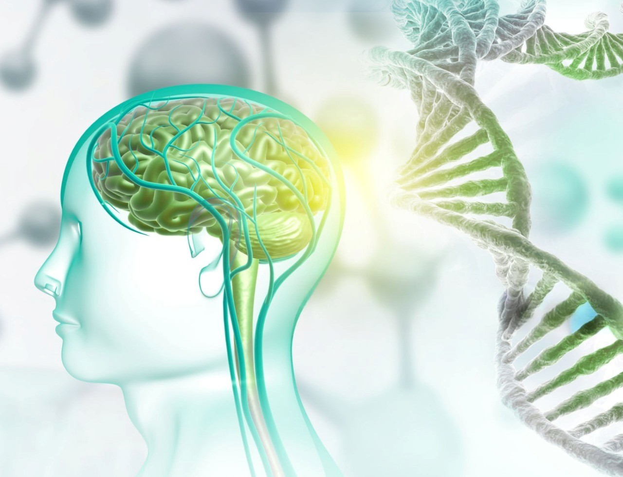 Diseñan unas moléculas sintéticas que reparan en el laboratorio una alteración frecuente en el autismo