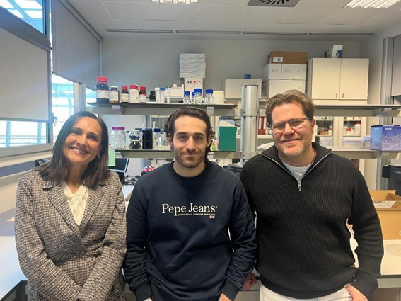 La suplementación con un agente simbiótico mejora la función hepática y vascular en un modelo experimental de colestasis