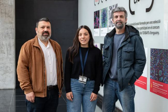 Un modelo sencillo permite predecir qué pacientes con un primer episodio psicótico se recuperarán durante el primer año