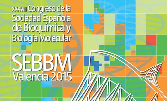 CIBERER organiza un simposio sobre enfermedades raras dentro del Congreso de la SEBBM en Valencia