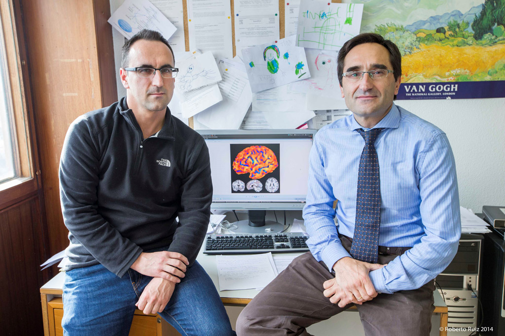 Variaciones genéticas se asocian a cambios en la estructura del cerebro humano