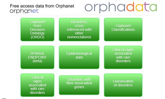 Orphadata se actualiza para mostrar de manera más accesible los datos de Orphanet