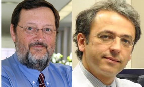 Dos miembros del CIBEREHD entre los investigadores más citados del mundo Dos miembros del CIBEREHD entre los investigadores más citados del mundo