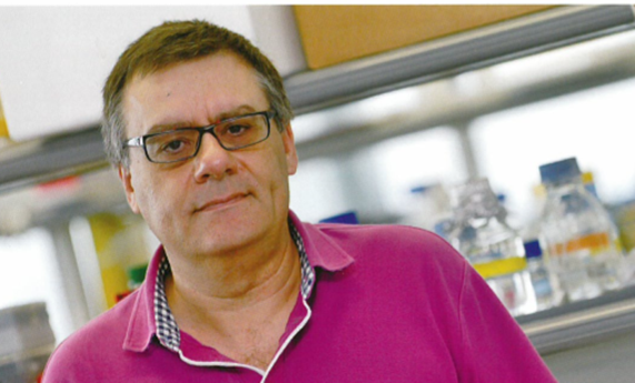 Francesc Palau: "Mayor investigación supondría un ahorro sanitario importantísimo porque muchas enfermedades se diagnosticarían a tiempo o podrían evitarse" Francesc Palau: "Mayor investigación supondría un ahorro sanitario importantísimo porque muchas enfermedades se diagnosticarían a tiempo o podrían evitarse"