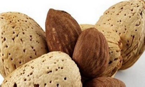 Bebida de almendra Bebida de almendra