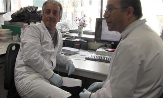 Crean por primera vez un bazo en un chip capaz de actuar como éste órgano Crean por primera vez un bazo en un chip capaz de actuar como éste órgano