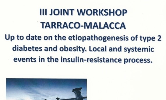 Actividad conjunta CIBERDEM y CIBEROBN: III Joint Workshop Tarraco-Malacca Actividad conjunta CIBERDEM y CIBEROBN: III Joint Workshop Tarraco-Malacca