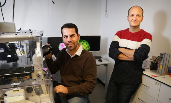 Xavier Trepat nominado para el Premio de Ciencias de La Vanguardia Xavier Trepat nominado para el Premio de Ciencias de La Vanguardia