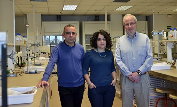 Diseñan nuevos nanodispositivos de liberación controlada de fármacos para terapias contra el cáncer de mama Diseñan nuevos nanodispositivos de liberación controlada de fármacos para terapias contra el cáncer de mama