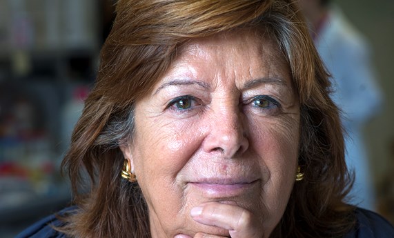 La investigadora María Vallet recibe una Advanced Grant La investigadora María Vallet recibe una Advanced Grant