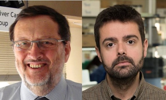 Bruix y Gracia-Sancho, premiados en el congreso de la EASL por su investigación en enfermedades hepáticas Bruix y Gracia-Sancho, premiados en el congreso de la EASL por su investigación en enfermedades hepáticas