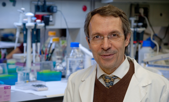 Entrevista a Josep Dalmau, nuevo jefe de grupo del CIBERER especializado en enfermedades neuronales autoinmunes Entrevista a Josep Dalmau, nuevo jefe de grupo del CIBERER especializado en enfermedades neuronales autoinmunes