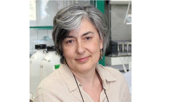 Isabel Varela-Nieto es nombrada miembro del comité internacional de la Association for Research in Otolaryngology