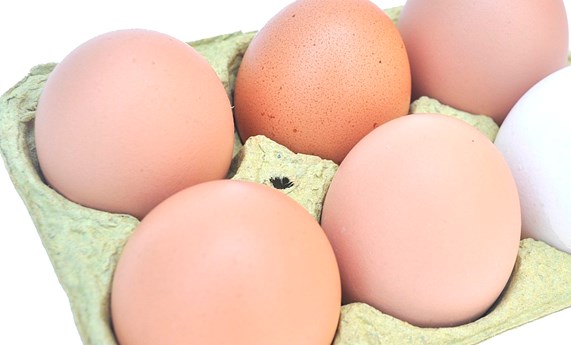 Un estudio demuestra que el consumo moderado de huevos no aumenta el riesgo cardiovascular Un estudio demuestra que el consumo moderado de huevos no aumenta el riesgo cardiovascular