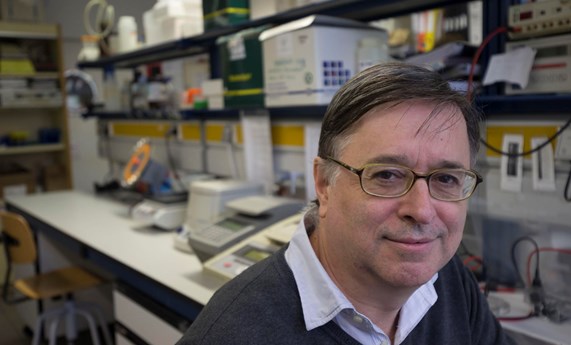 Moléculas endocrinas liberadas por la grasa parda podrían ser claves en el descubrimiento de nuevas terapias contra la obesidad y las enfermedades metabólicas Moléculas endocrinas liberadas por la grasa parda podrían ser claves en el descubrimiento de nuevas terapias contra la obesidad y las enfermedades metabólicas